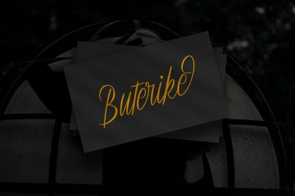 Rulladinore - Elegant Modern Script