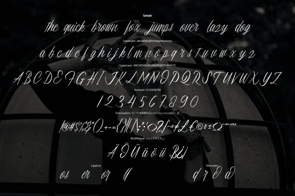 Rulladinore - Elegant Modern Script