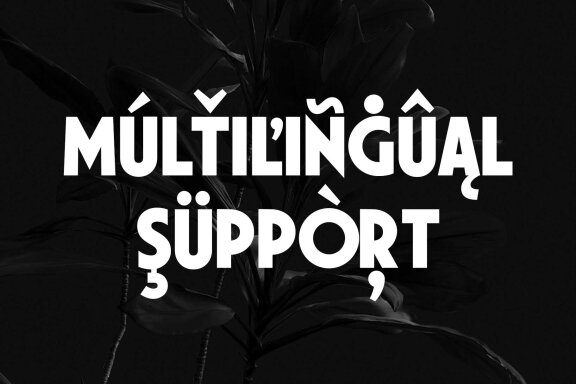 Shawkind - Display Font
