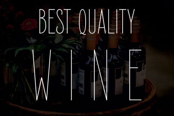 Elegant Sans Font Family