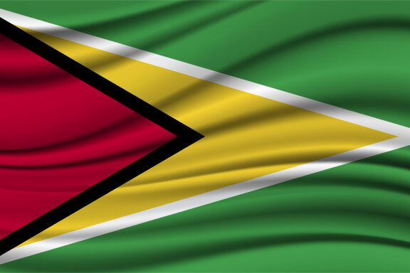 Silk Waving Flag of Guyana