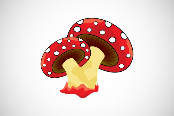 Mushroom creative design vector illustration