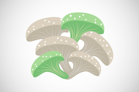 Mushroom creative design vector illustration