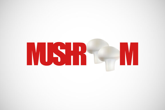 Mushroom creative design vector illustration