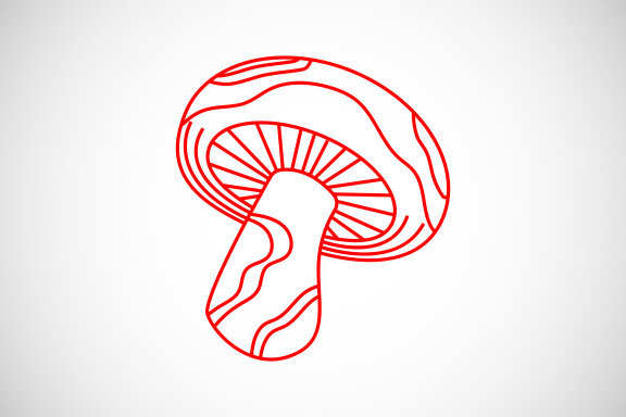 Mushroom creative design vector illustration