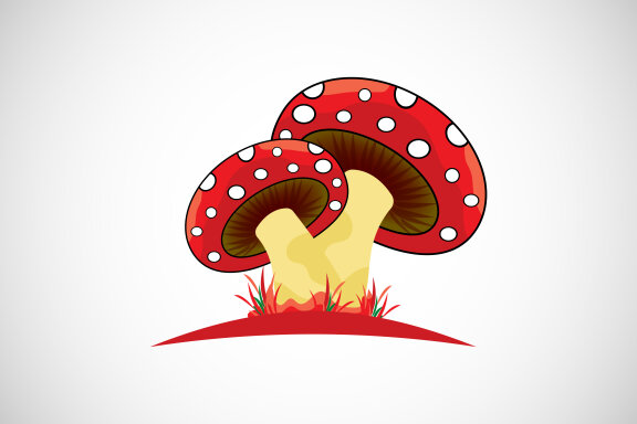 Mushroom creative design vector illustration