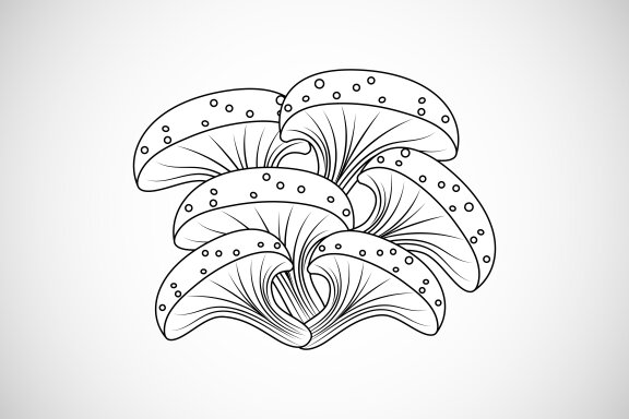 Mushroom creative design vector illustration