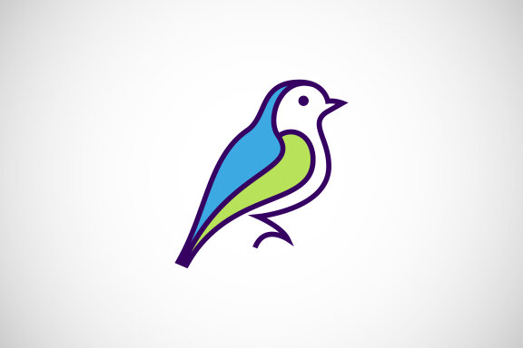 Bird logo design vector illustration