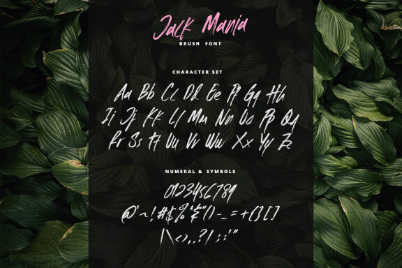The Jack Mania Brush Font