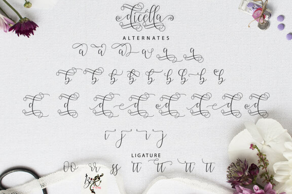 Dicella Script