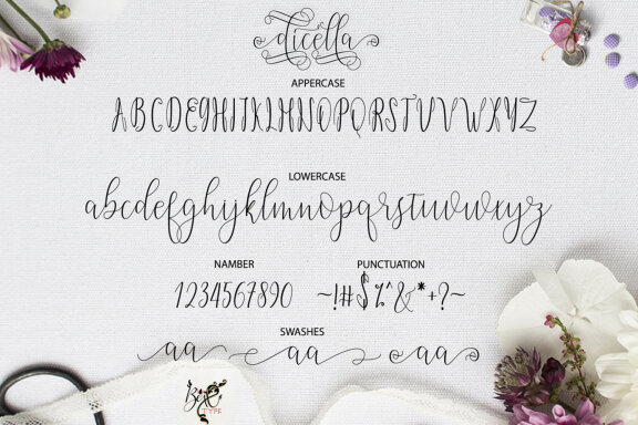 Dicella Script