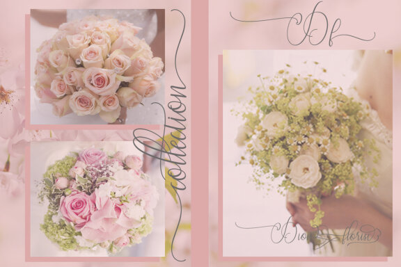 The fantastic script