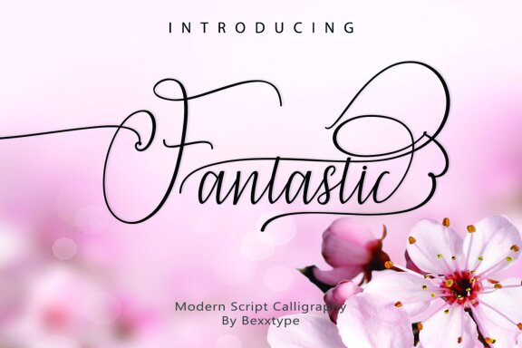 The fantastic script