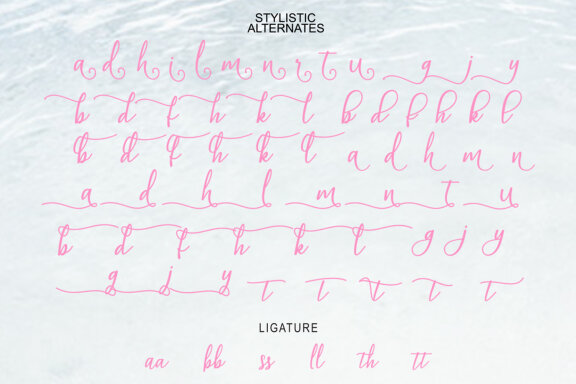 Magella Script
