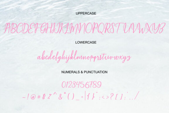 Magella Script