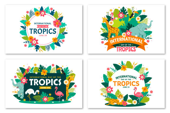 12 Day of the Tropics Illustration
