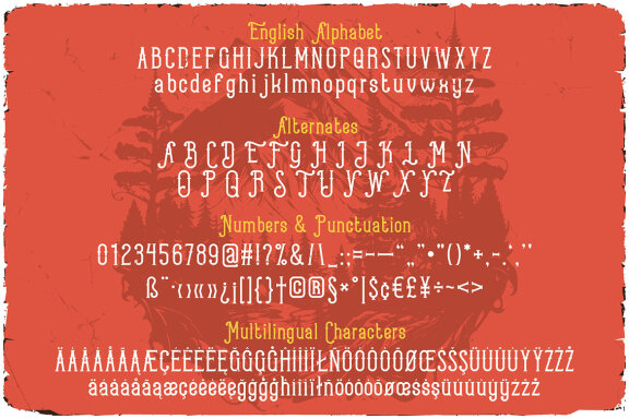 Forest Camp Display Font & Graphics