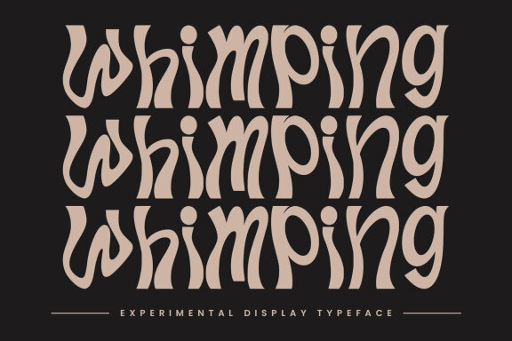 Whimping Experimental Display Font
