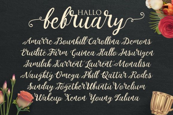 Noelan Typeface