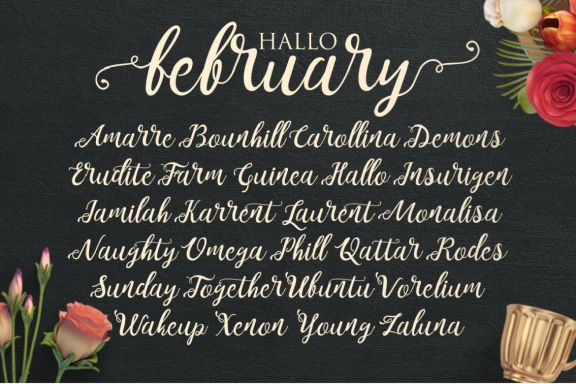 Noelan Typeface