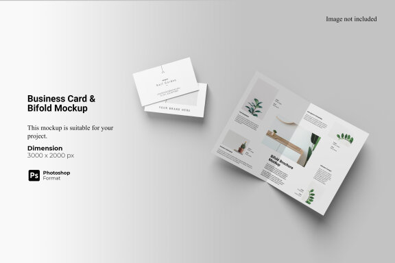 Business Card & Bifold Mockup