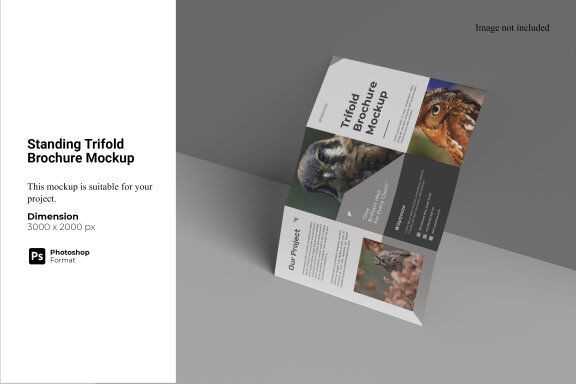 Standing Trifold Brochure Mockup
