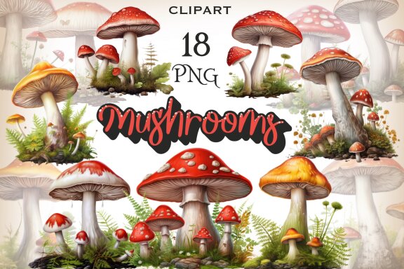 Amanita Mushrooms PNG bundle