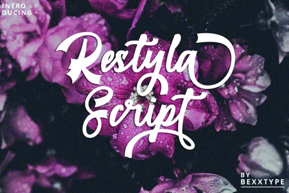 Restyla Script