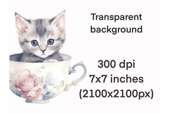 Cute Teacup Kittens PNG Bundle