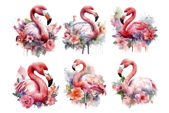 Flower Flamingo PNG Bundle