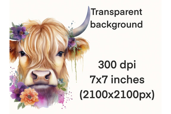 Highland Cow PNG Bundle