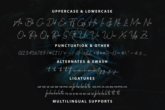Rastery Signature - Handwritten Script