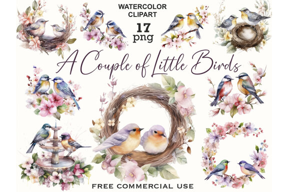 Little Birds PNG Bundle