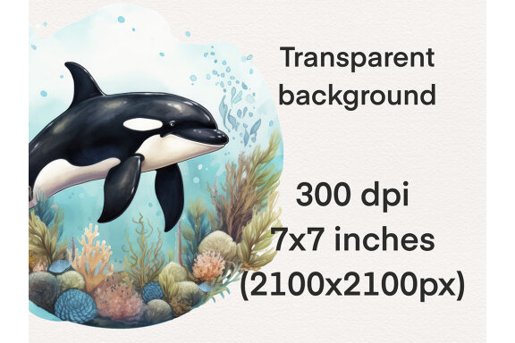 Watercolor Orca PNG Bundle