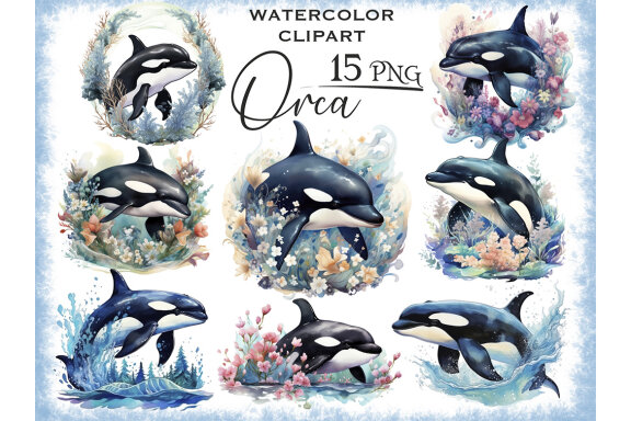 Watercolor Orca PNG Bundle