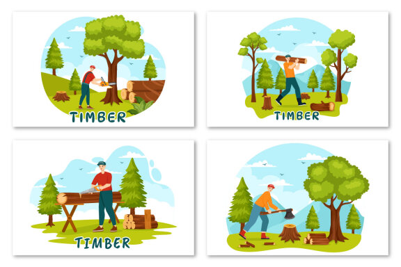 12 Timber Illustration