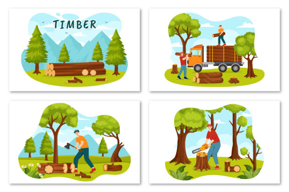 12 Timber Illustration
