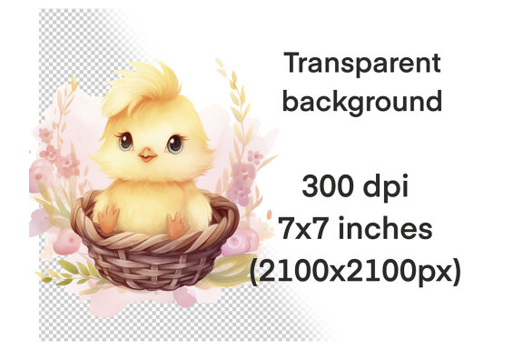 Cute Little Chicks PNG Bundle