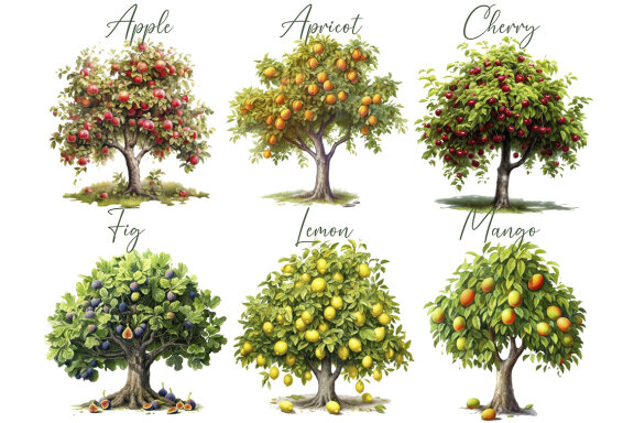 Fruit Tree Clipart, Garden Trees PNG Bundle