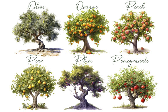 Fruit Tree Clipart, Garden Trees PNG Bundle