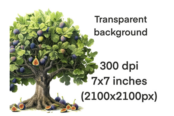Fruit Tree Clipart, Garden Trees PNG Bundle