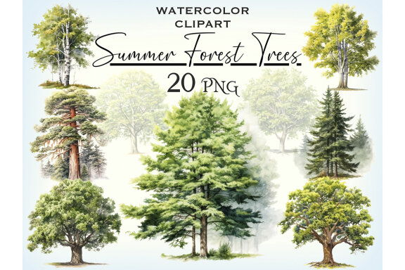 Forest Trees PNG Bundle, Summer Tree Clipart