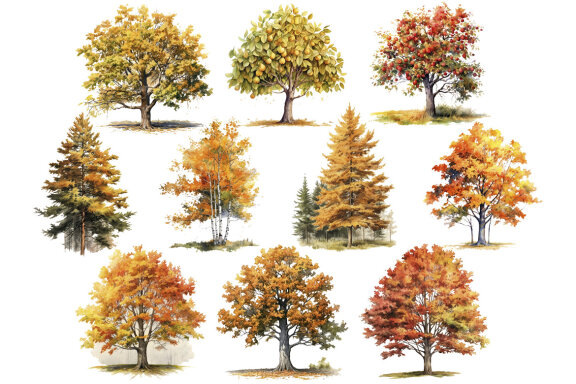 Fall Forest Trees PNG Bundle, Autumn Tree Clipart
