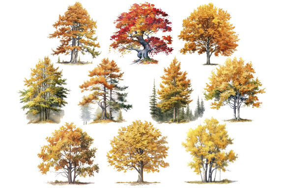 Fall Forest Trees PNG Bundle, Autumn Tree Clipart