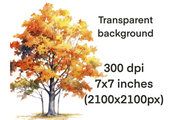 Fall Forest Trees PNG Bundle, Autumn Tree Clipart