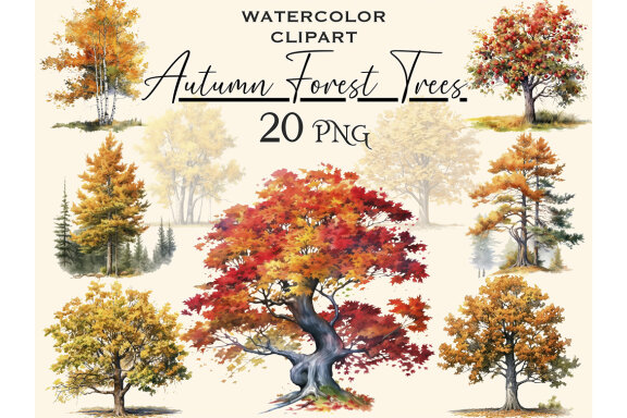 Fall Forest Trees PNG Bundle, Autumn Tree Clipart