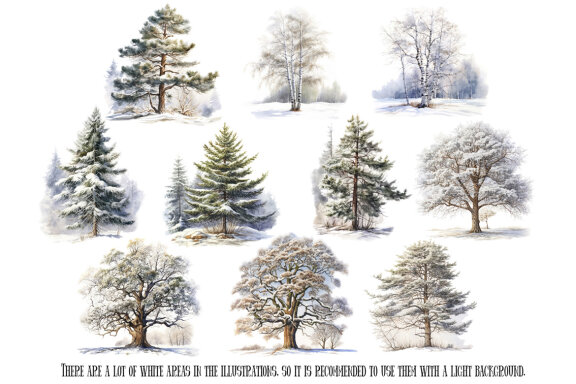 Winter Forest Trees PNG Bundle, Snowy Tree Clipart