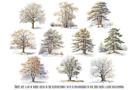 Winter Forest Trees PNG Bundle, Snowy Tree Clipart