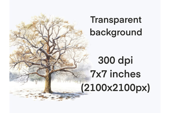 Winter Forest Trees PNG Bundle, Snowy Tree Clipart