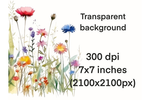 Watercolor Wildflowers PNG Bundle
